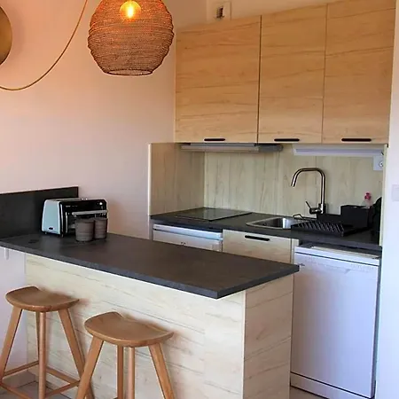 Apartment Gasarti Superbe T2 Climatise Avec Belle Terrasse Proche De La *